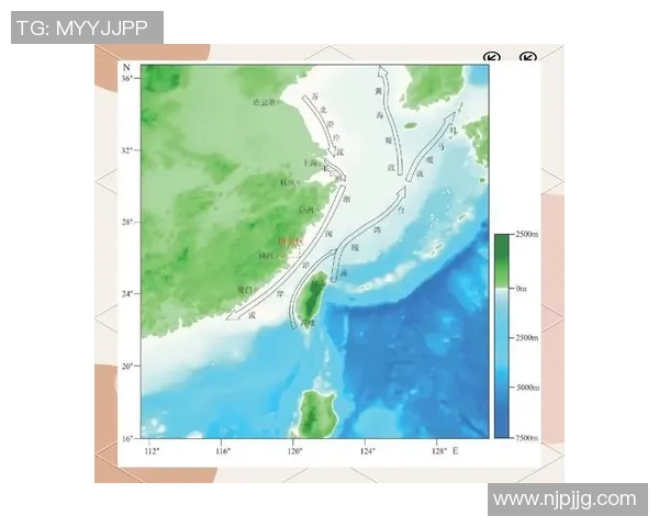 南京乒乓球队战术解析与对比研究揭示其胜负关键因素